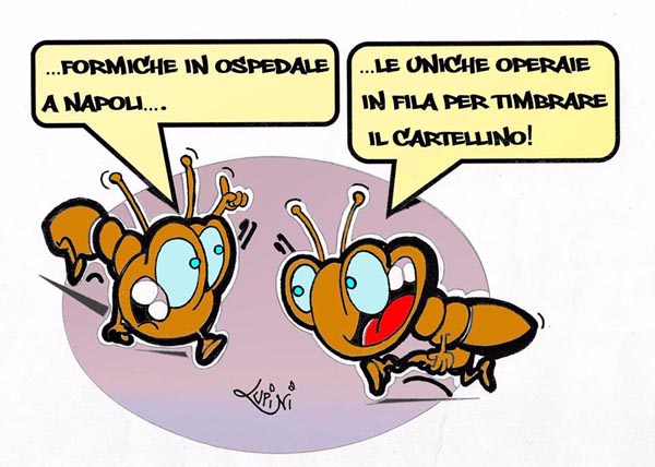 A proposito di formiche, abituali frequentatrici di corsie d'ospedale...