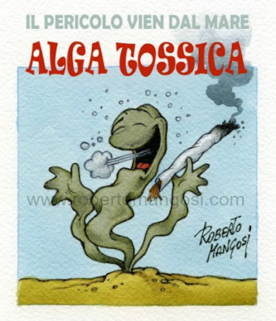 Avvistata l'alga tossica...