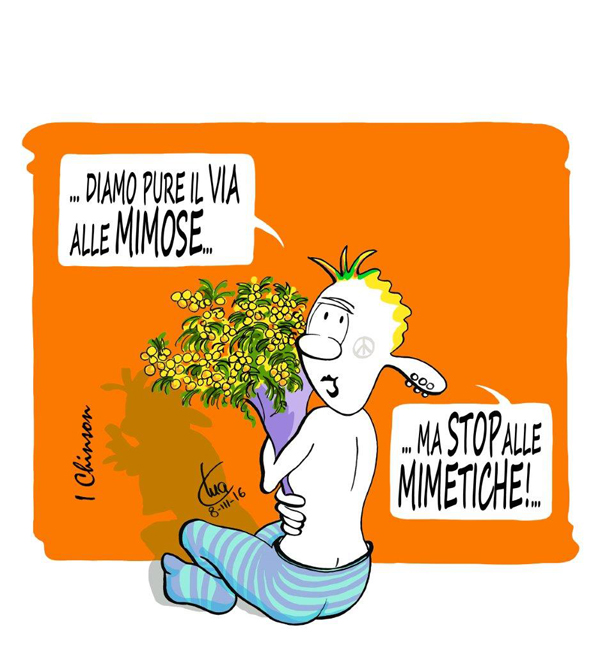 Mimose e mimetiche...
