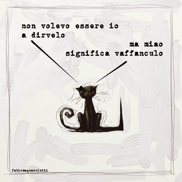 il significato delle parole...