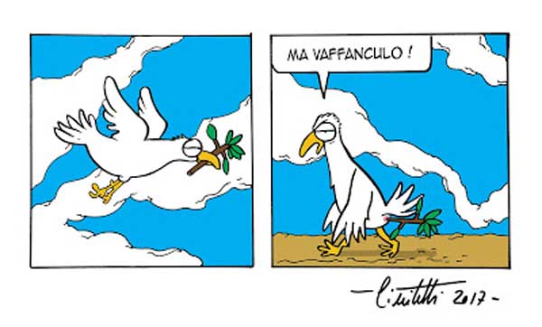 Ultim’ora: la colomba della pace “andata e ritorno”…