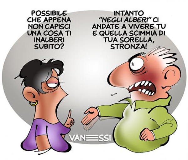 L'inalberato...